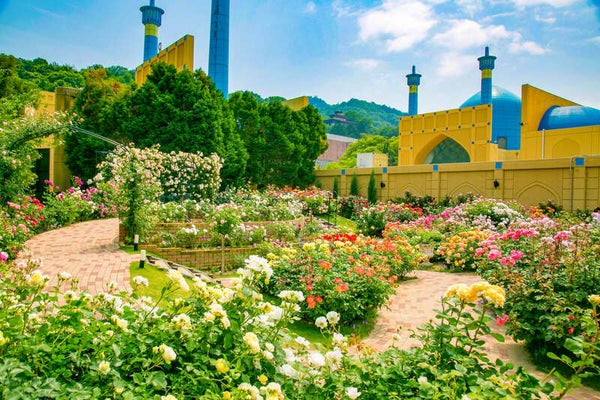 【岩国発】 感動のレオマ花ワールド「春の大バラまつり」 日帰り2